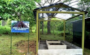 347438811_593437526268634_2235263870647613905_n