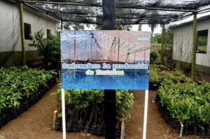 347450079_593437586268628_8634988502309756141_n