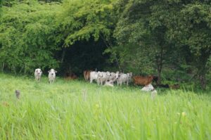 347555825_593437579601962_5424388395606894918_n