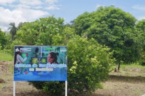 347588405_593437999601920_5644666484564155612_n