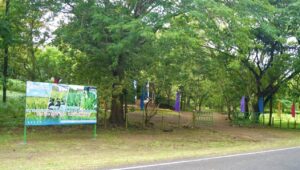 348568496_593437612935292_2165509942217125086_n