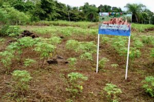 358099209_593436446268742_4528562430886890997_n