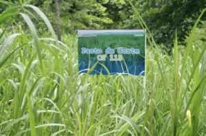 358690542_593436052935448_8977203177094947101_n