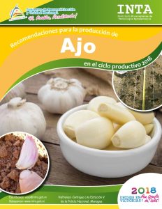 Recomendaciones produccion – Ajo