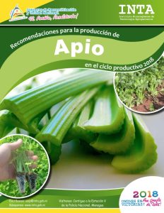 Recomendaciones produccion – Apio