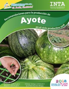 Recomendaciones produccion – Ayote