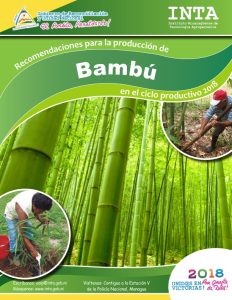 Recomendaciones produccion – Bambu