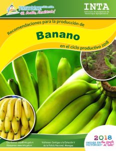 Recomendaciones produccion – Banano