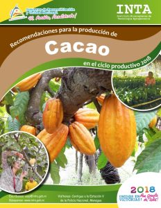 Recomendaciones produccion – Cacao