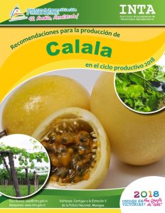 Recomendaciones produccion – Calala