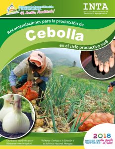 Recomendaciones produccion – Cebolla