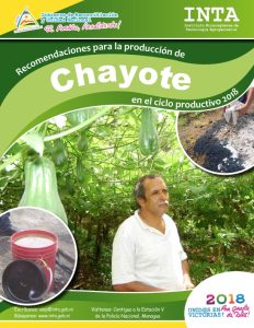 Recomendaciones produccion – Chayote