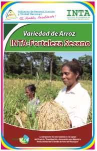 Arroz INTA-Fortaleza Secano