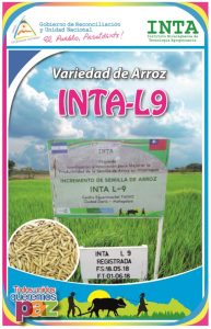 Arroz INTA-L9
