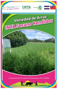 Arroz INTA-Secano Rendidor