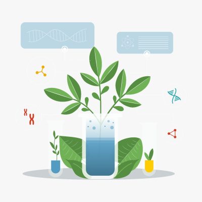 Cra. Ana Yakarelys Alaniz