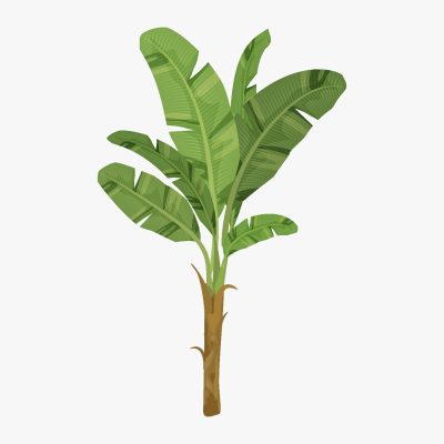 Cro. Francisco Fitoria