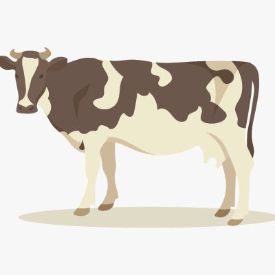 Cro. José Ramón Rodríguez