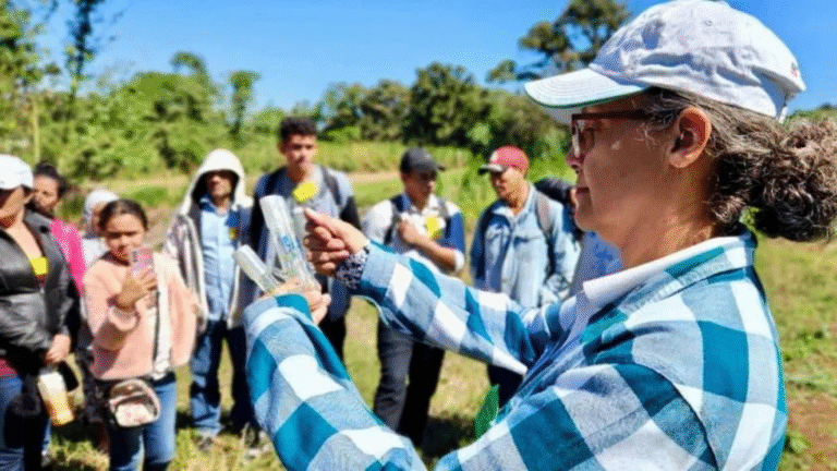 Variedad de Papa “INTA Rendidora Precoz”