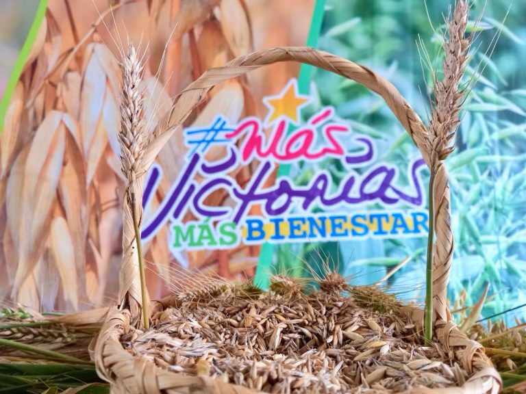 Nueva variedad de avena forrajera