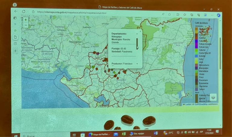 Presentación del Mapa de Perfiles y Sabores del Café de Altura en Matagalpa