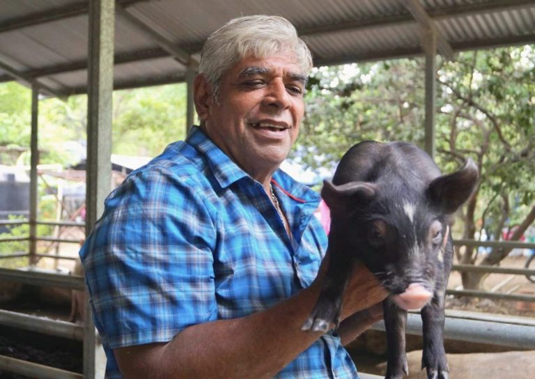Escuela Departamental de Inseminación Porcina en Chinandega
