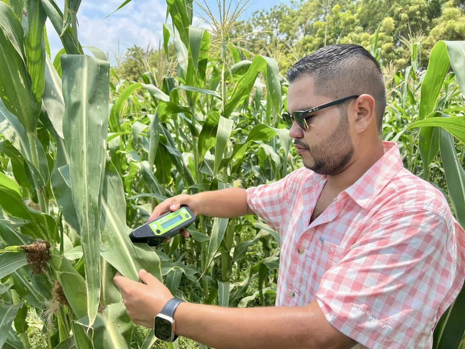 Presentación de Alternativas para la Siembra del Cultivo de Maíz