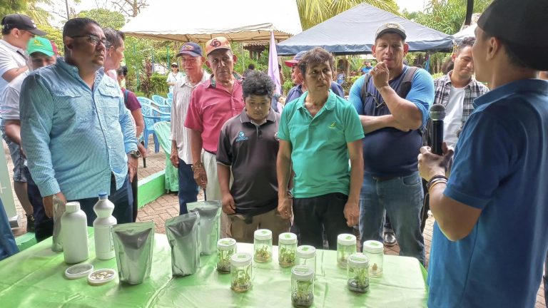 Ferias Municipales de Tecnologías y Semillas para la Siembra de Primera