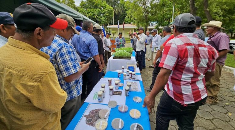 Programa de Mejora Genética de Semillas con Bancos Comunitarios