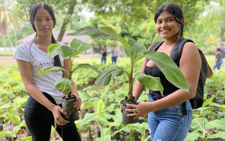 Presentación del Programa para la Nutrición del Cultivo de Plátano