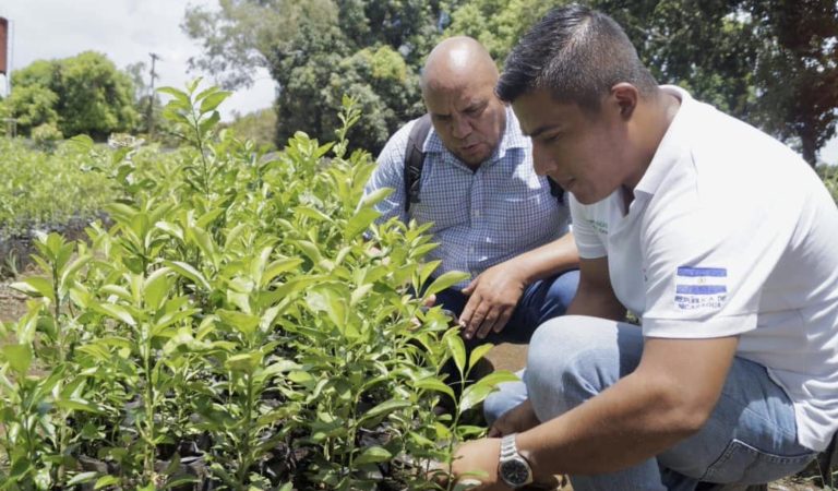 Presentación del Programa de Asistencia Técnica y Formación en Tecnologías para la Producción de Cítricos