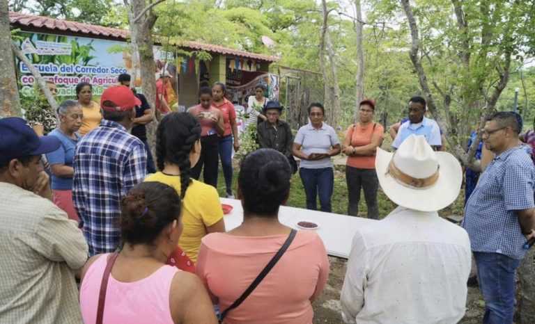 Programa Nacional de Mejoramiento Genético de Variedades de Frijol y Maíz