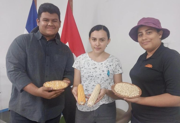 Resultados de Estudios de Perfiles Genéticos de las diferentes Variedades Criollas de Maíz