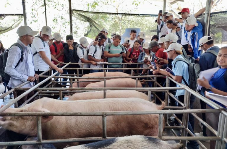 Innovaciones Tecnológicas para el Incremento de la producción Porcina en Granjas