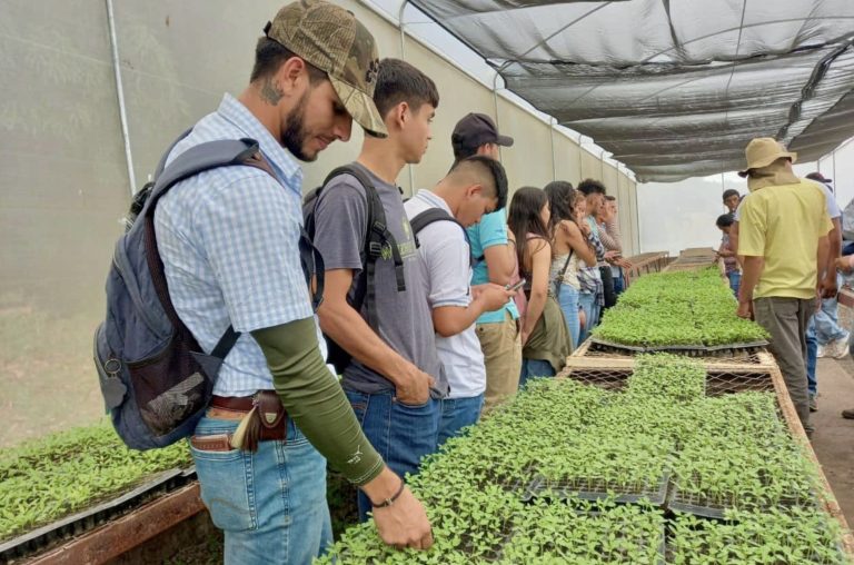 Lanzamiento del Programa de Producción de Plantas Sanas de Hortalizas