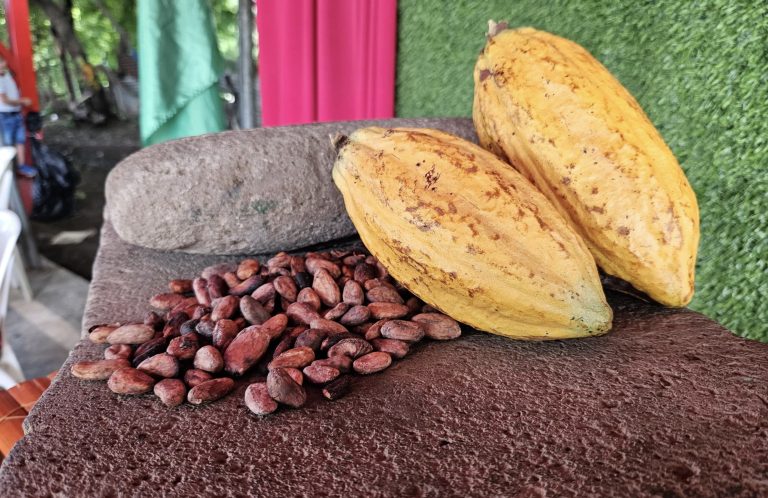 Festivales Departamentales del Chocolate “Tomá Chocolate” en Granada y Chinandega