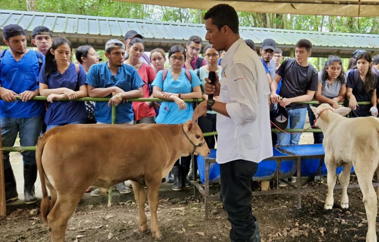 Resultados de Estudios en Nuevos Cruces y Razas Bovinas Productivas en Leche y Carne
