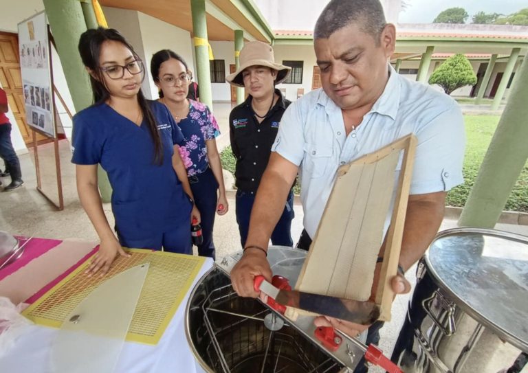 ESTUDIO SOBRE CALIDAD Y PRODUCCIÓN DE MIEL EN NICARAGUA