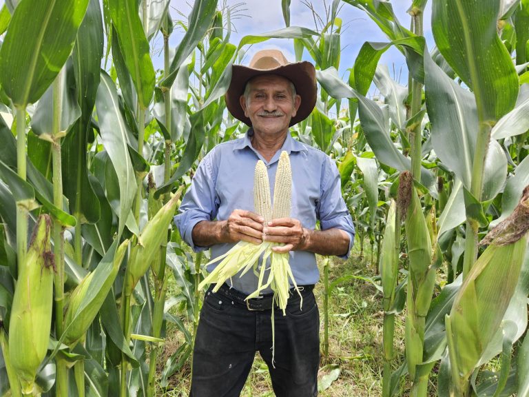 Presentación de Avances de Investigación para la Generación de Nuevos Tipos de Maíz