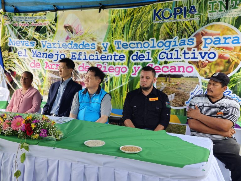 Resultados de Investigación de Nuevas Variedades y Tecnologías para el Manejo de Arroz