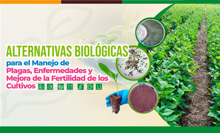Alternativas para el Manejo de Plagas, Enfermedades y Mejorar la Nutrición de los Cultivos