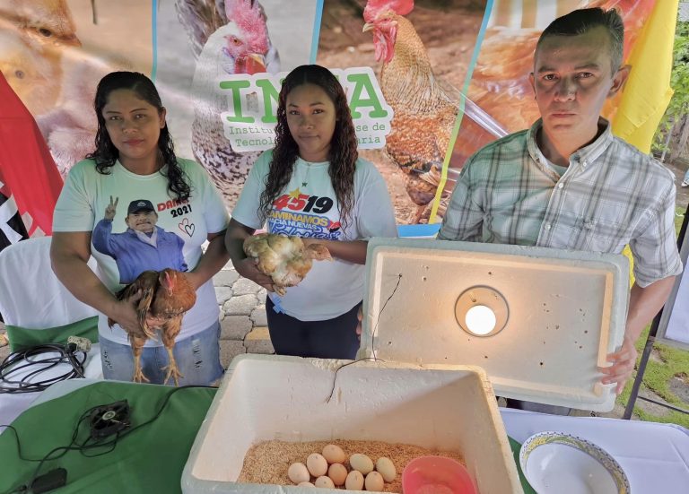 Presentación de Incubadora Artesanal para la Reproducción de Aves de Patio