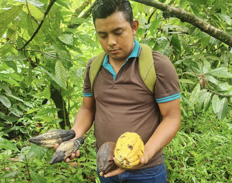 Foro sobre Identificación y Control de Enfermedades que Afectan el Cultivo de Cacao