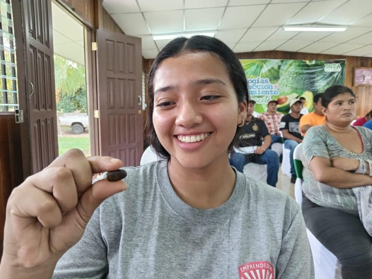 Presentación de Técnicas de Selección de Semillas para Establecimiento de Viveros