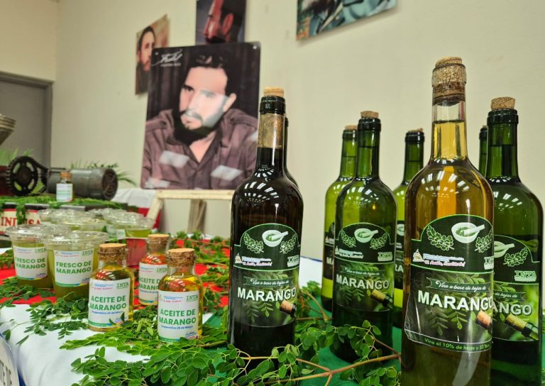 Congreso Nacional “Presentación de Avances de Estudios, Adaptación y Transformación de Variedades de Oleaginosas y Marango»