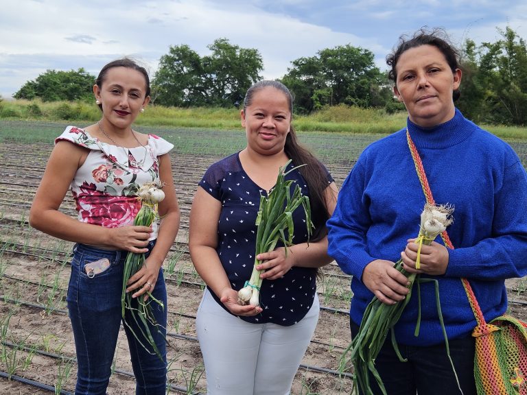 Nuevas Técnicas de Manejo de Plagas y Enfermedades en el Cultivo de Cebolla Blanca