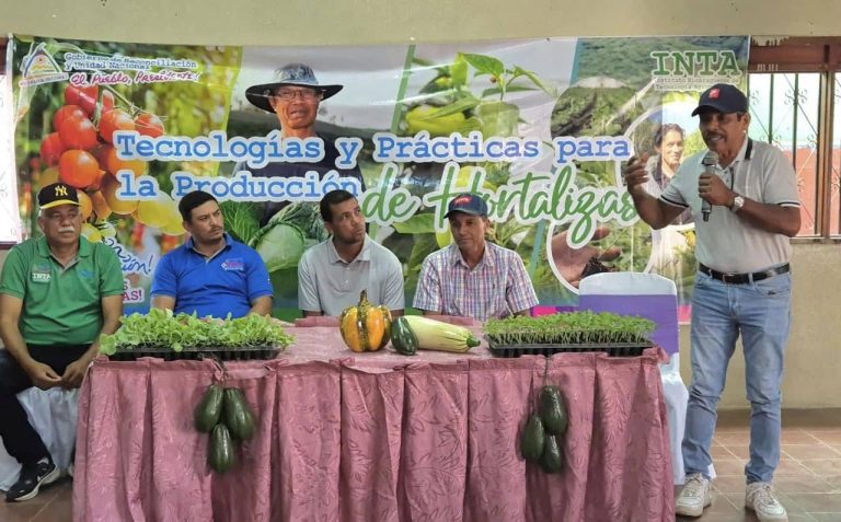 Foro Tecnológico sobre Producción Intensiva de Tomate y Chiltoma