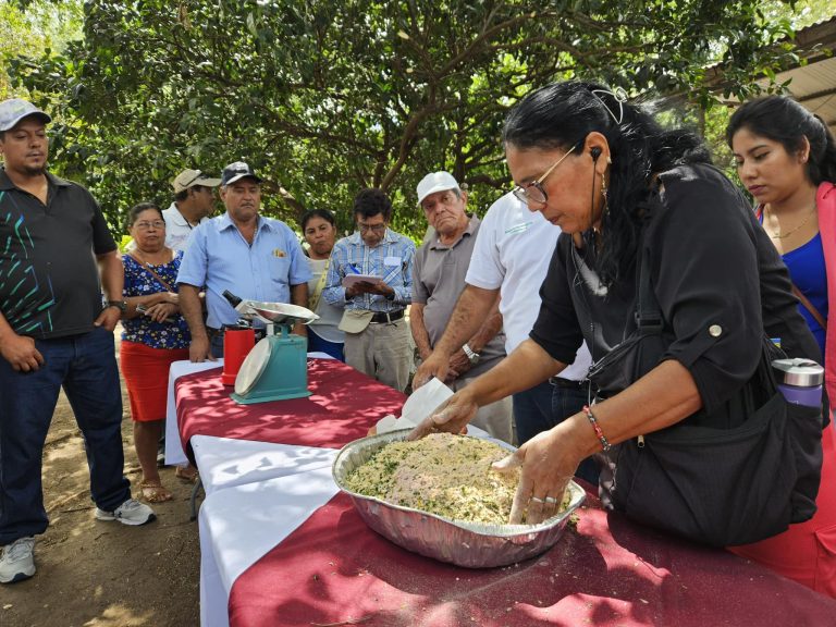 Alimentos Concentrados a Base de Soya y Marango para la Alimentación de Cerdos