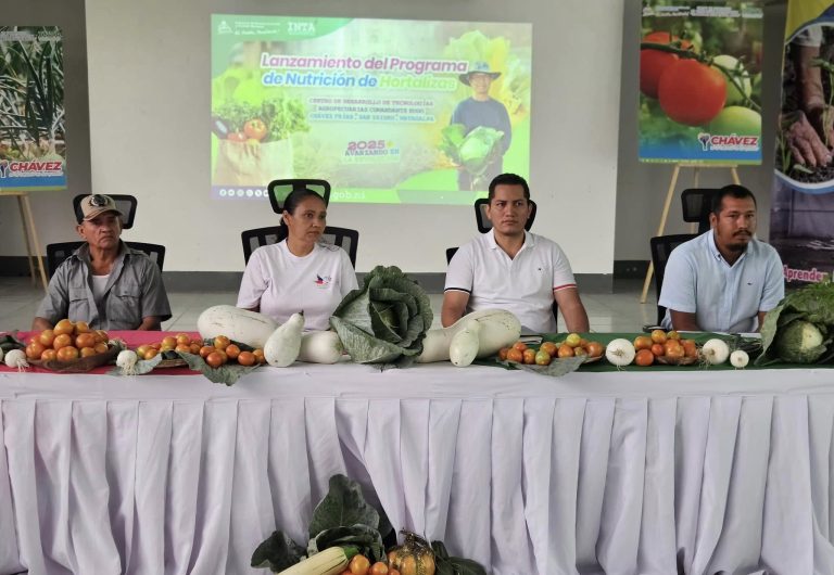 Programa para la Producción de Cebolla, Tomate, Chiltoma, Repollo, Ayote y Pipián