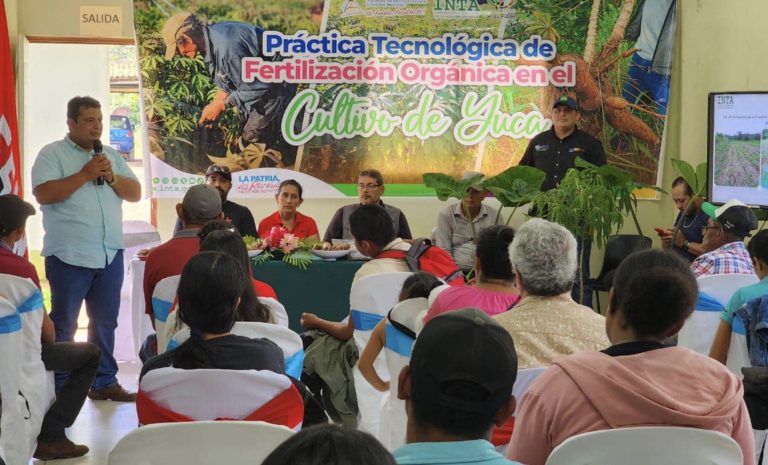 Insumos Biológicos para Controlar Enfermedades en los Cultivos de Yuca y Quequisque